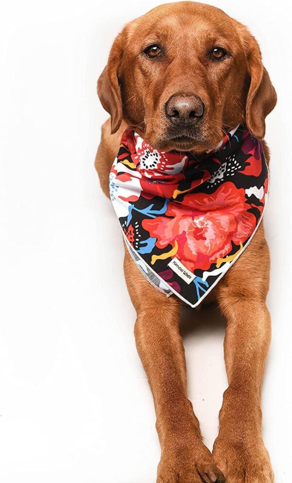 Kendall Wags The Birdie Floral Dog Bandana