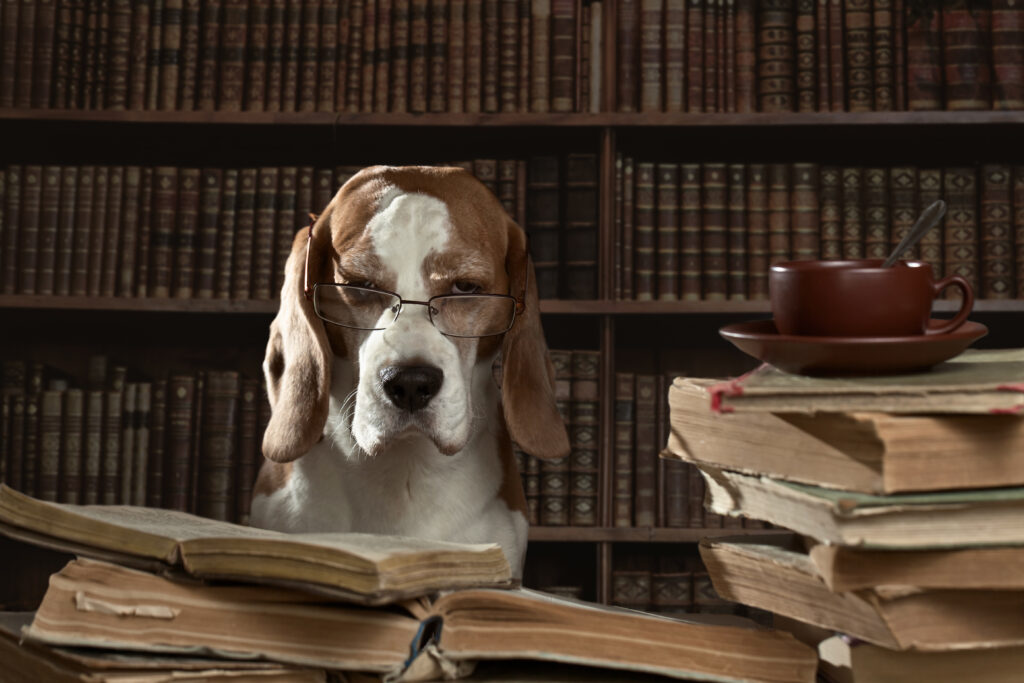 The Top 5 Best Books for Dog Lovers